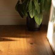 Boen 181 Live Natural Honey | Vivo Grade gallery detail image