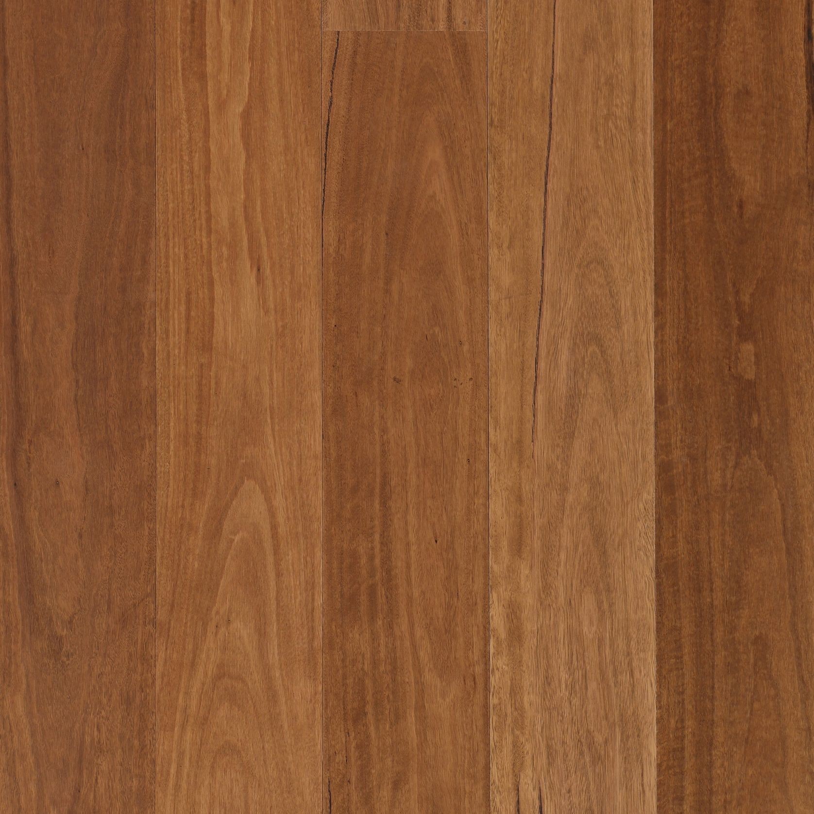 Ignarra | Aloura Collection gallery detail image
