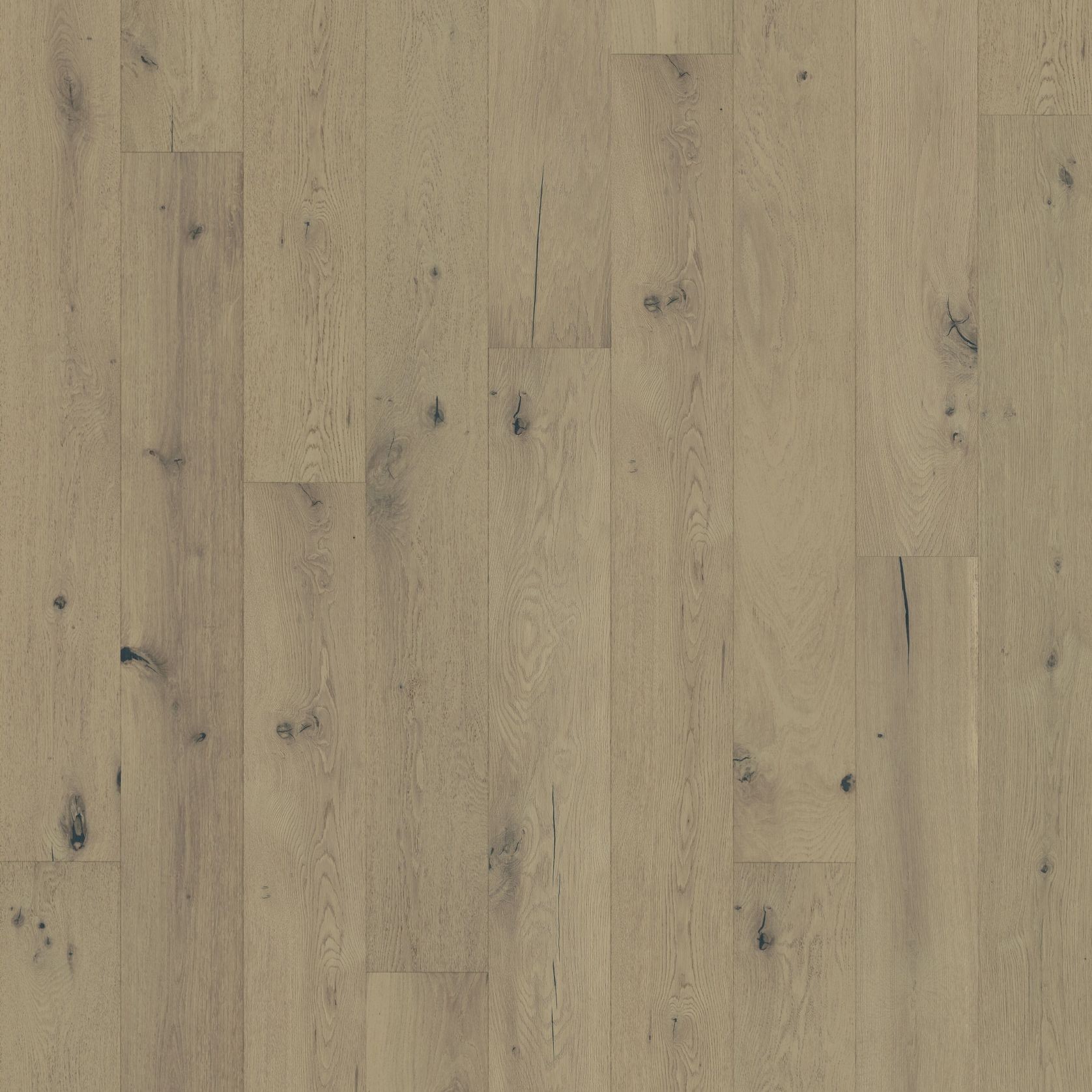 Oak Calm gallery detail image