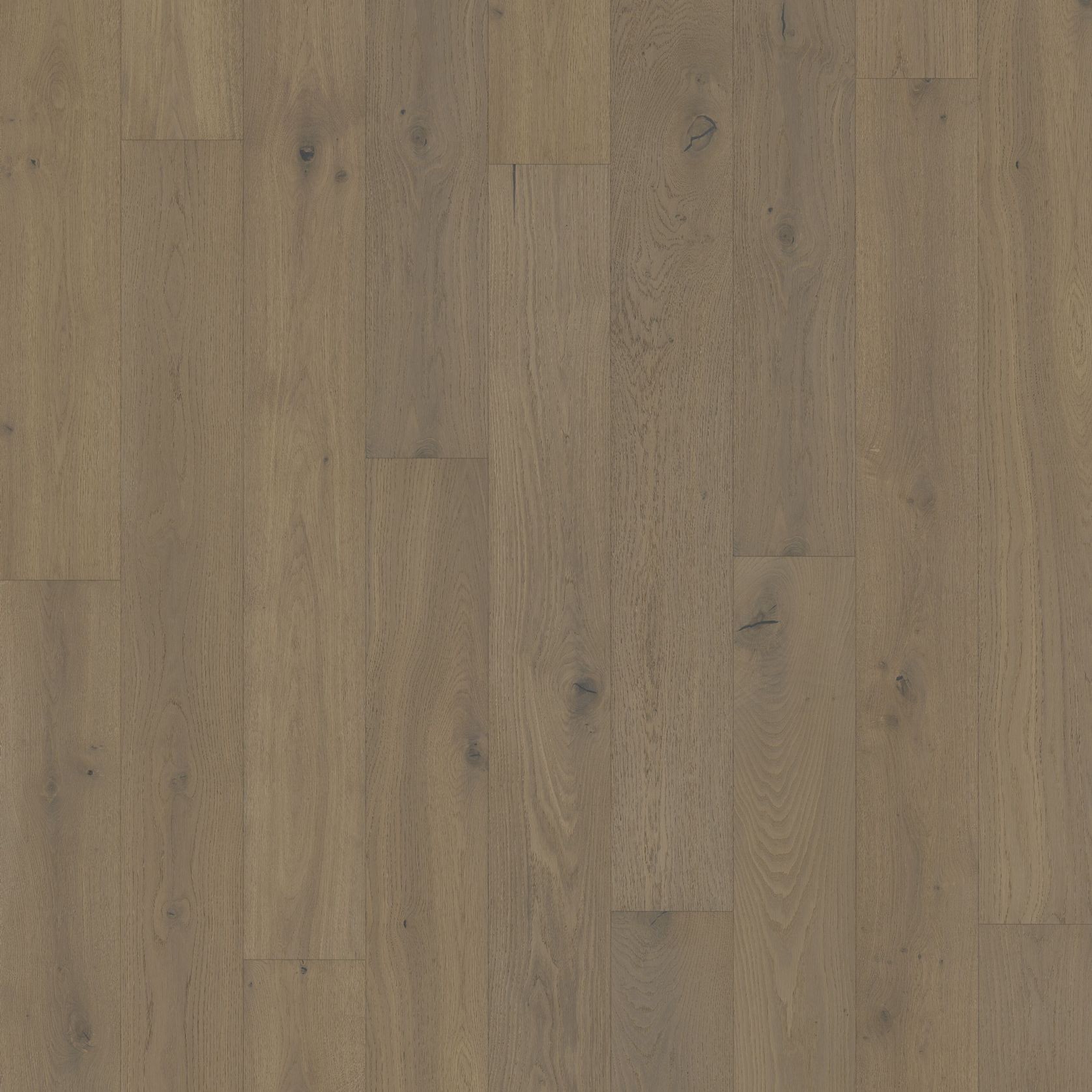 Oak Happiness gallery detail image