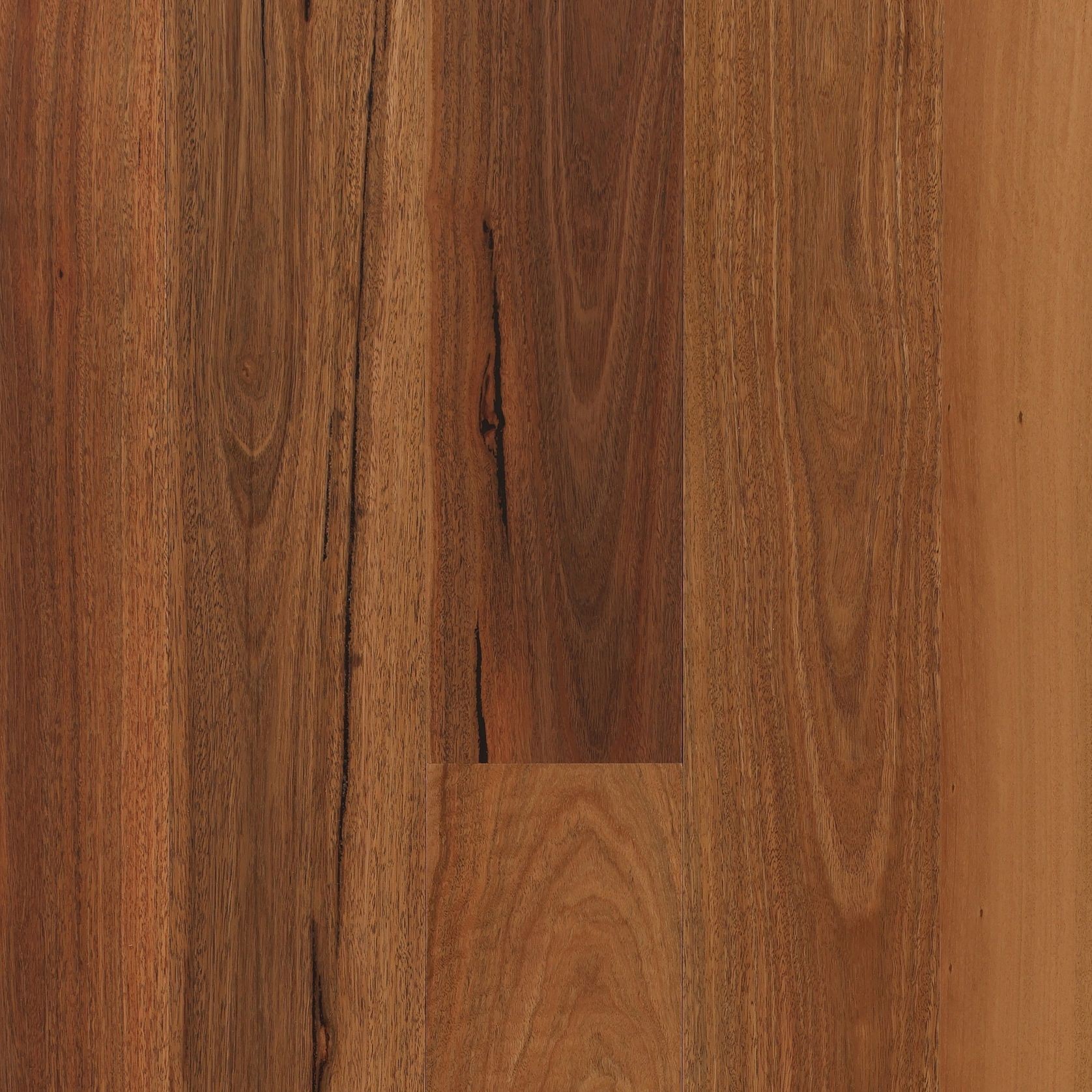 Maculata | Aloura Collection gallery detail image