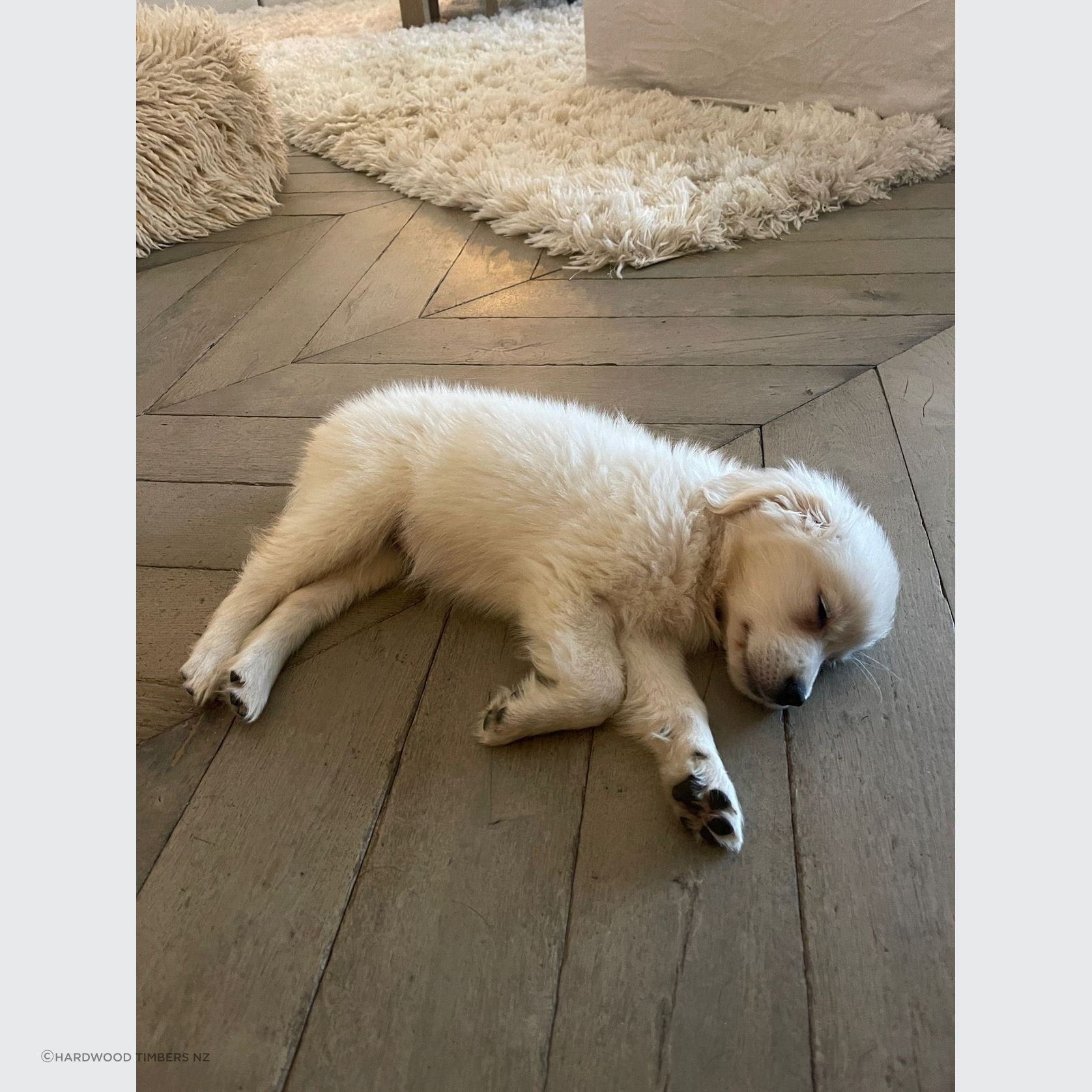 Vintage French Oak Flooring - Chateau Range gallery detail image