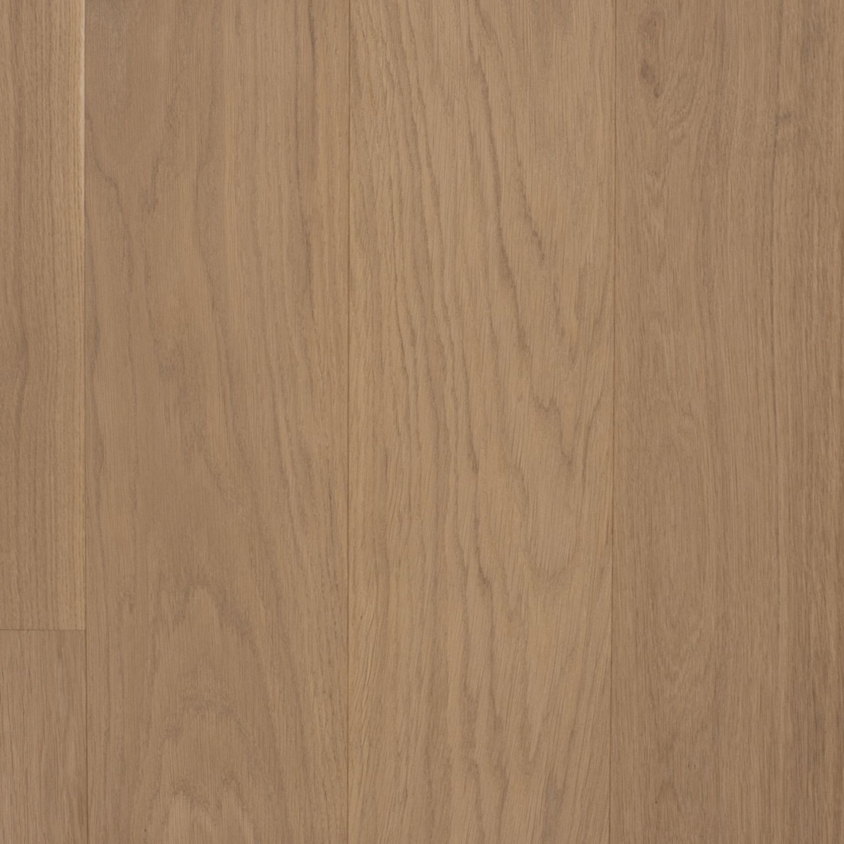 Boen 181 Live Pure Oak | Animoso Grade gallery detail image