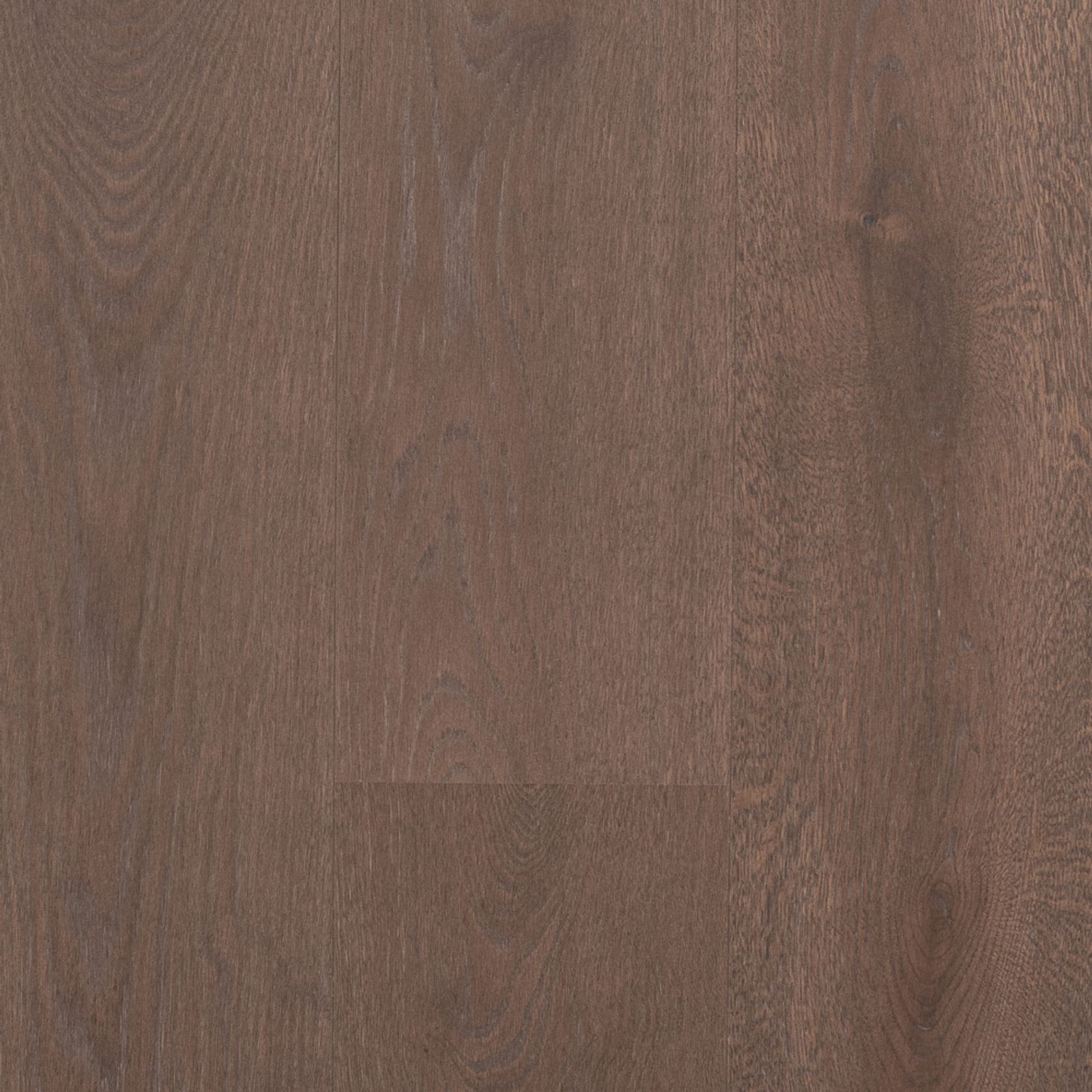 Boen Castle 209 Live Pure Elephant Grey | Espressivo Grade gallery detail image