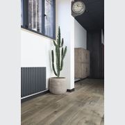 Vintage French Oak Flooring - Old Factory Range gallery detail image