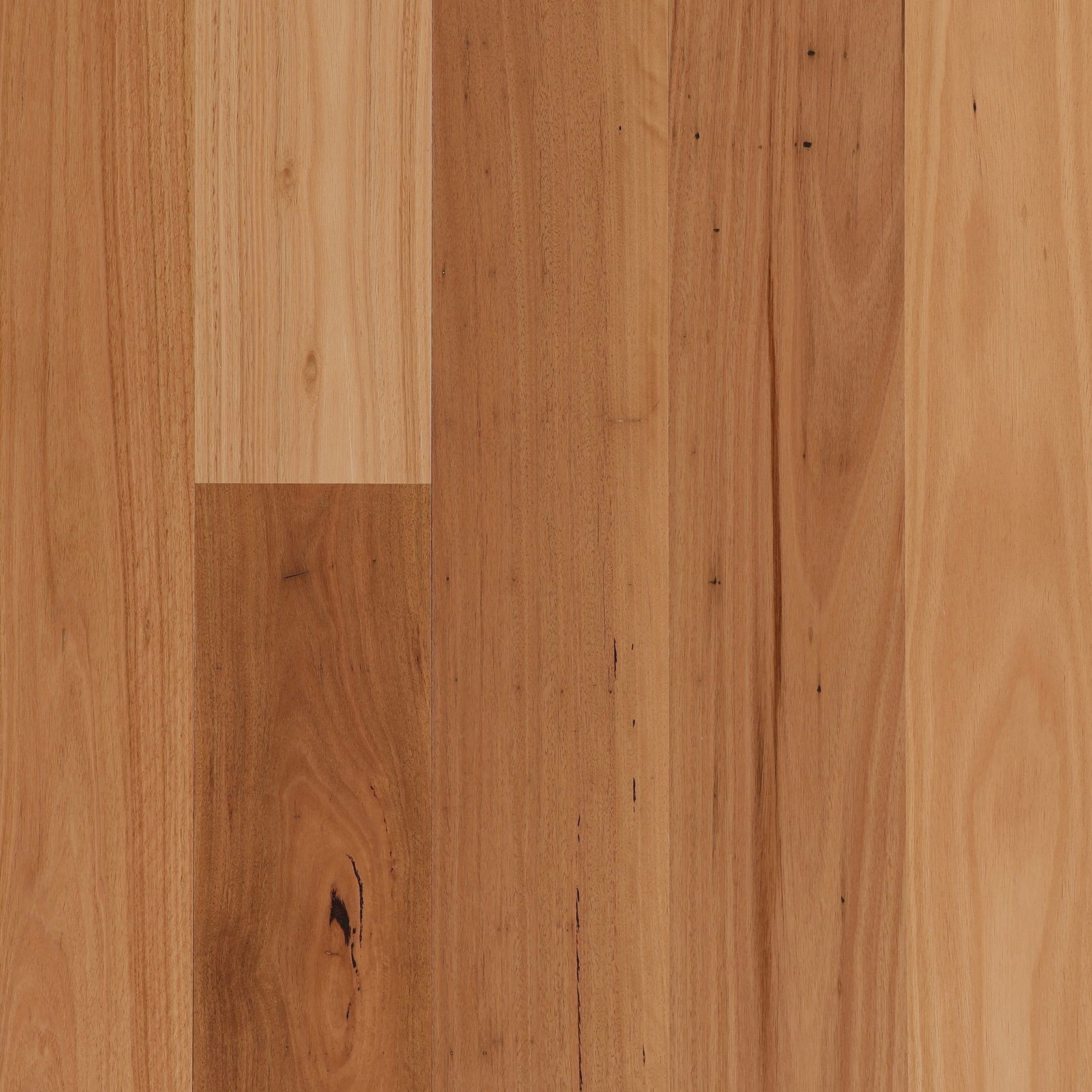 Pilarus | Aloura Collection gallery detail image