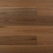 Spotted Gum | First Floors Engineered Timber Flooring gallery detail image