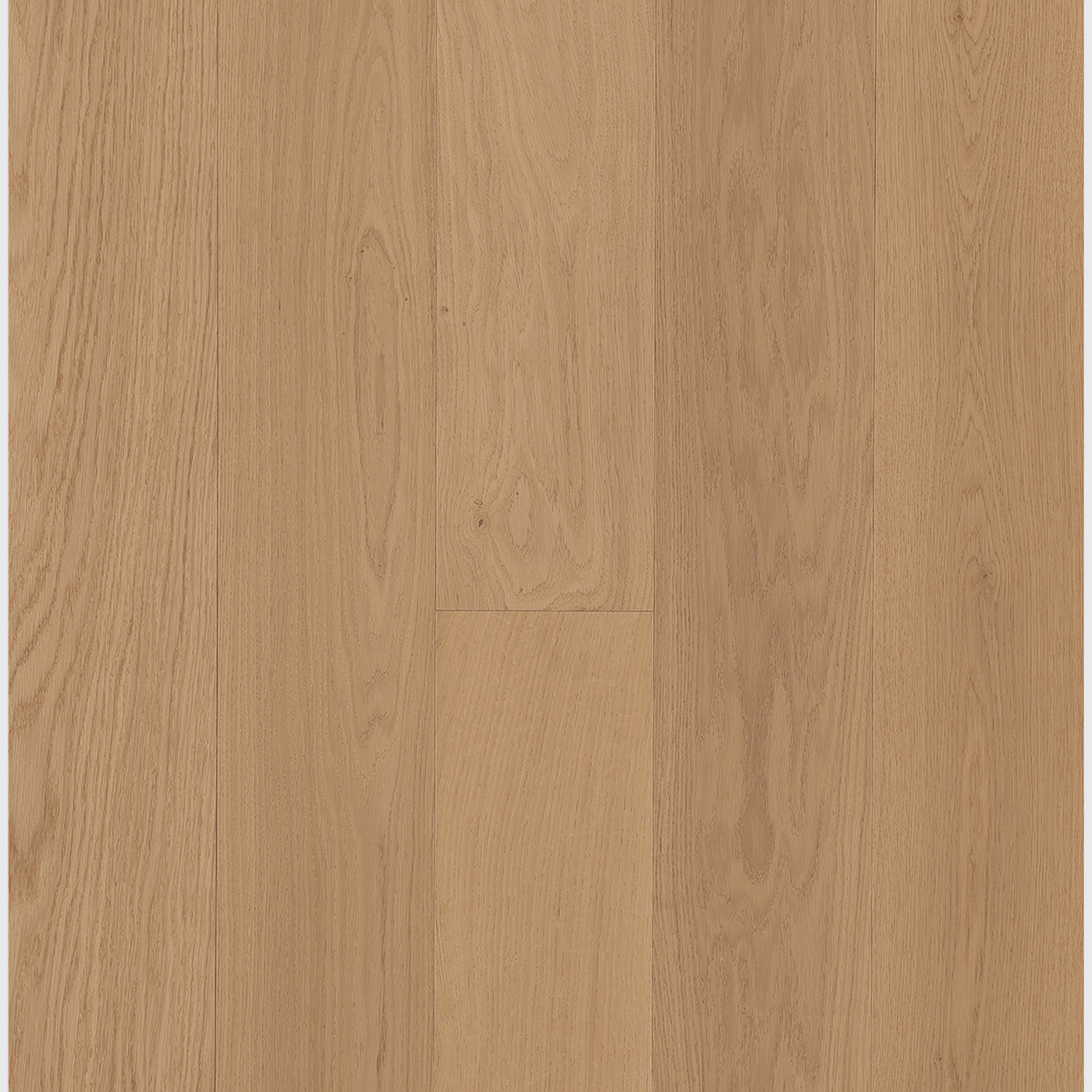 Mozart | Maison Engineered Flooring gallery detail image