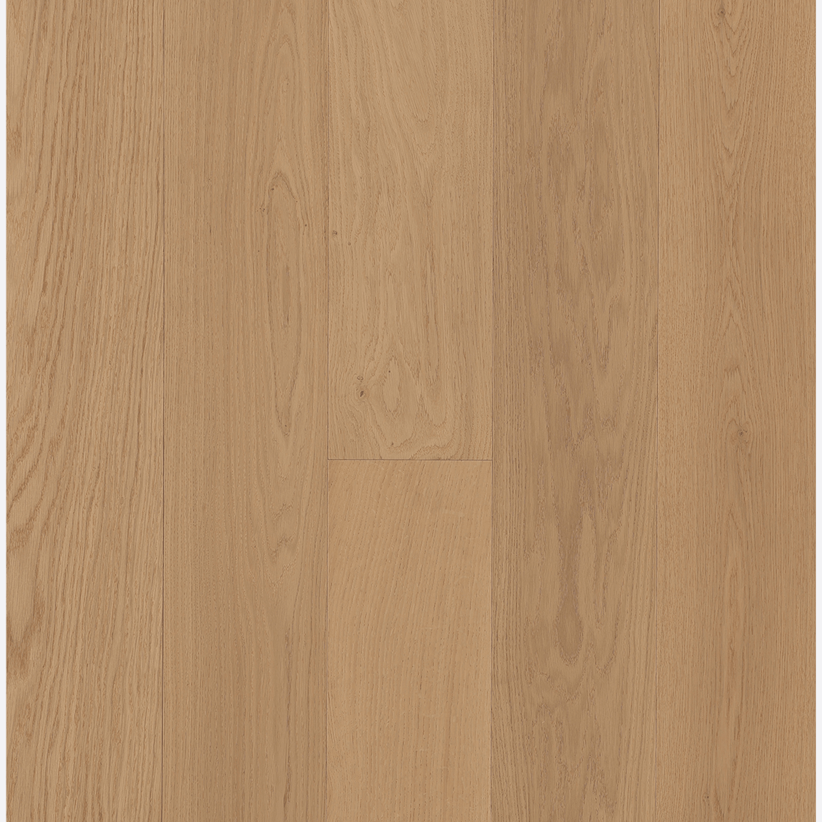 Mozart | Maison Engineered Flooring gallery detail image