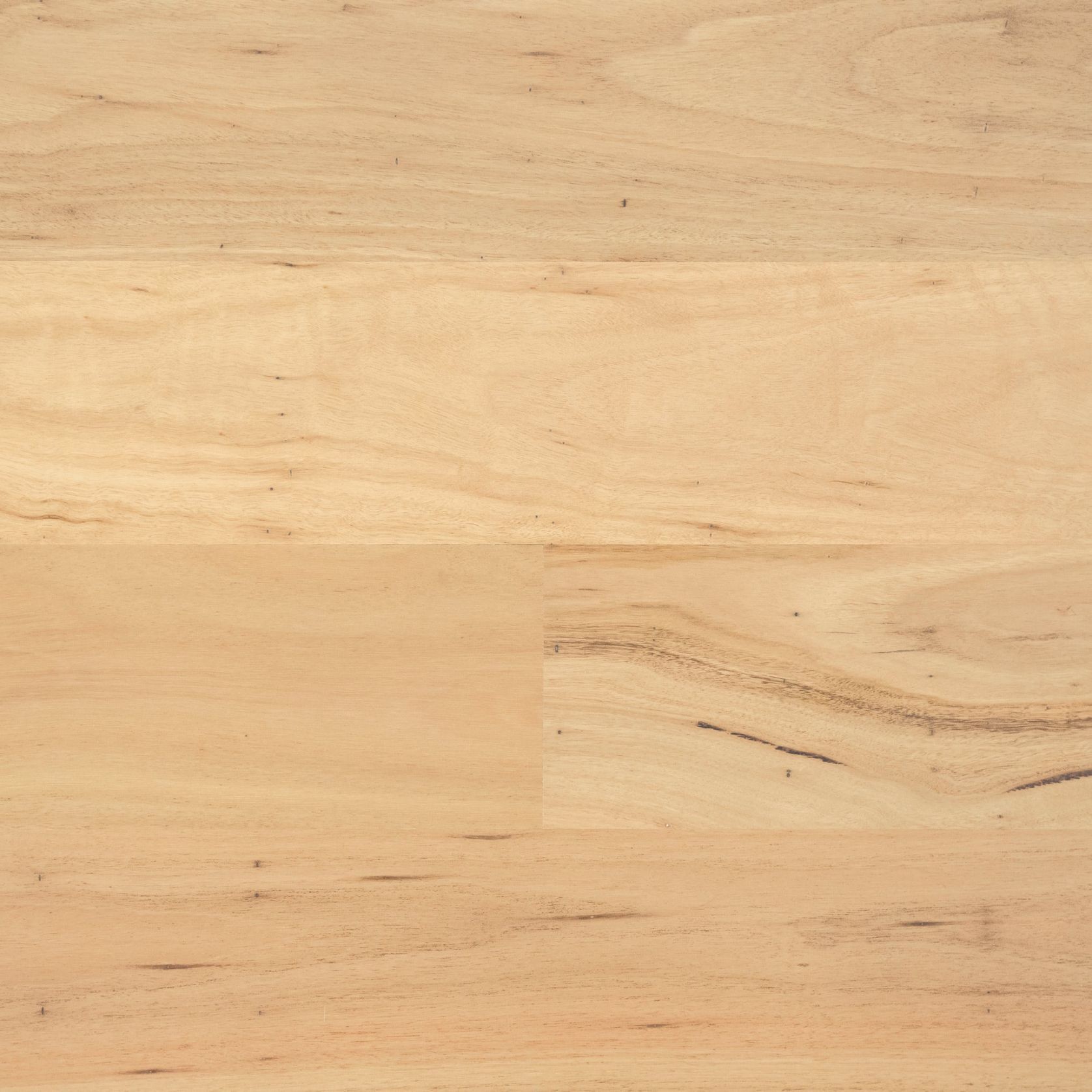 EP110 Blackbutt gallery detail image