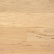 EP110 Blackbutt gallery detail image