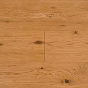 HW6200 Mascot gallery detail image