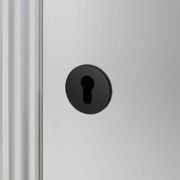 Buster and Punch Escutcheon Plate Euro Profile gallery detail image