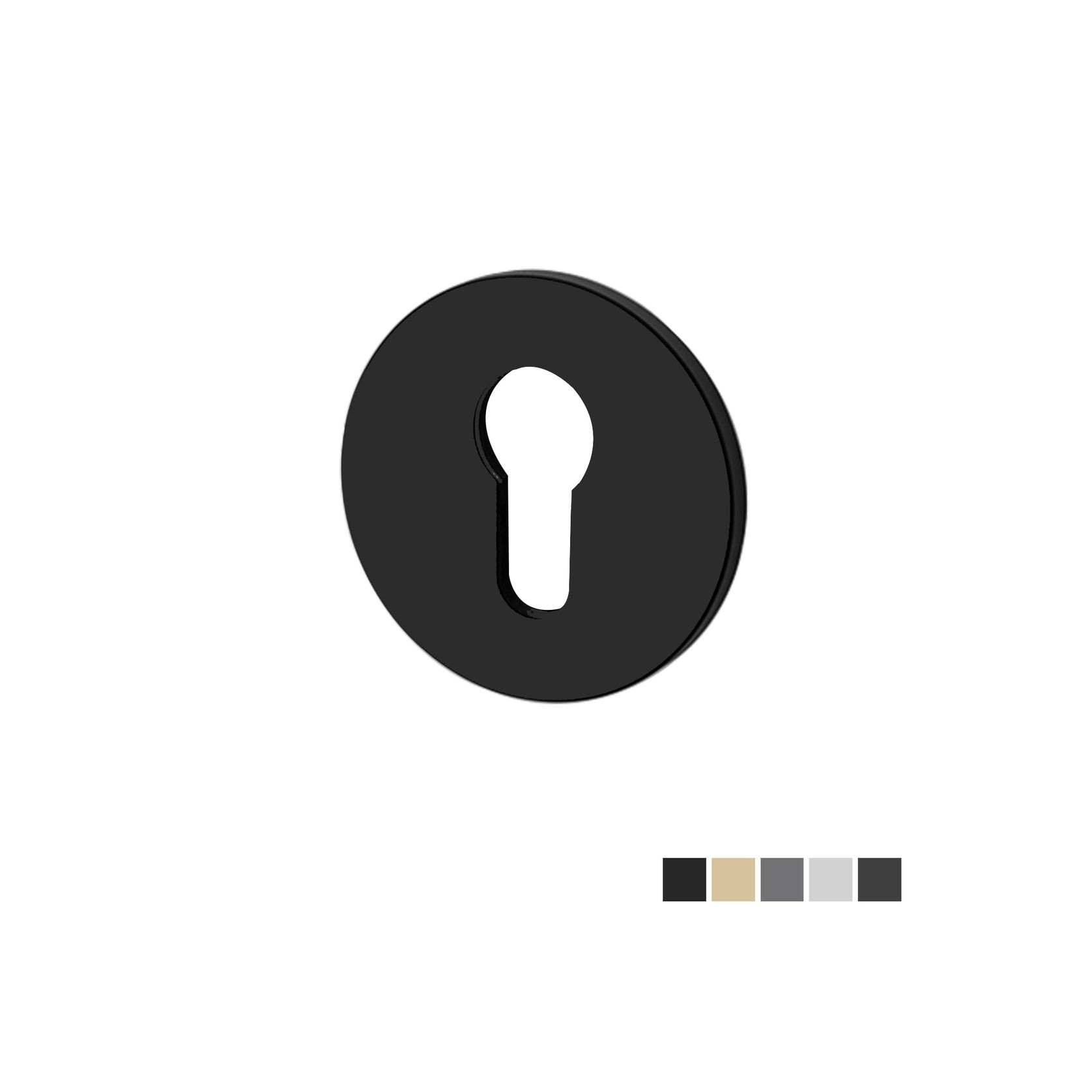 Buster and Punch Escutcheon Plate Euro Profile gallery detail image