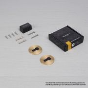 Buster and Punch Escutcheon Plate Euro Profile gallery detail image