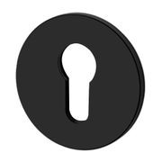 Buster and Punch Escutcheon Plate Euro Profile gallery detail image