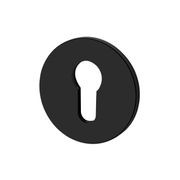 Buster and Punch Escutcheon Plate Euro Profile gallery detail image