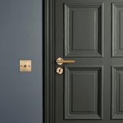 Buster and Punch Escutcheon Plate Traditional Profile gallery detail image