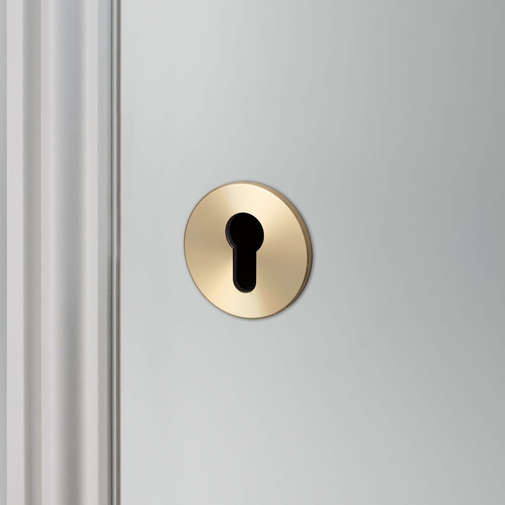 Buster and Punch Escutcheon Plate Euro Profile gallery detail image