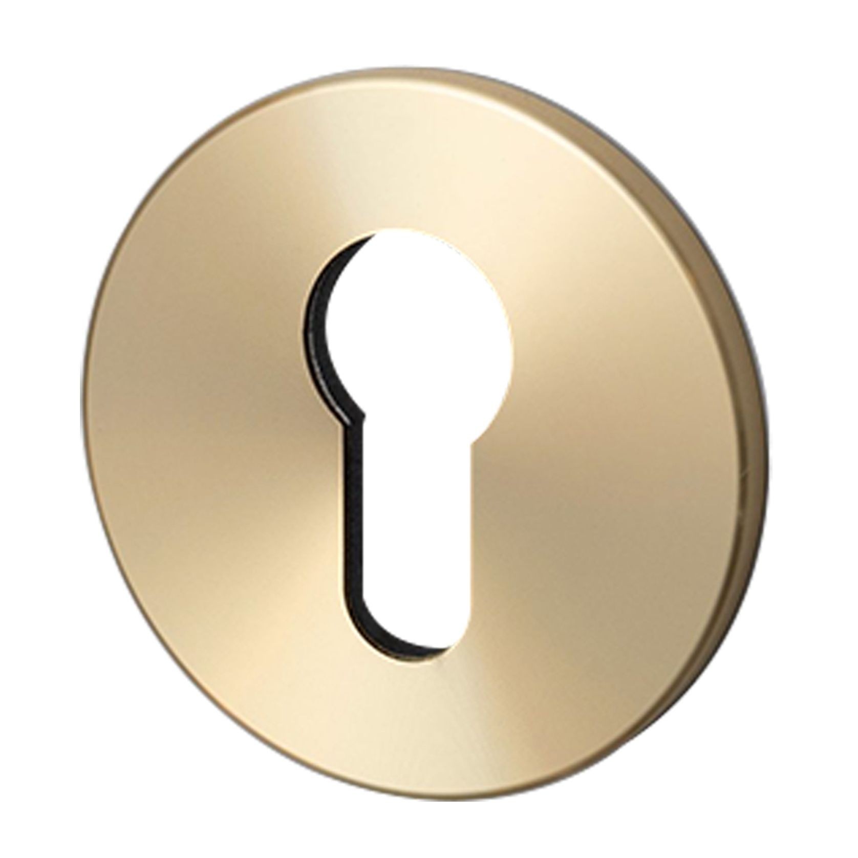 Buster and Punch Escutcheon Plate Euro Profile gallery detail image