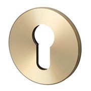 Buster and Punch Escutcheon Plate Euro Profile gallery detail image