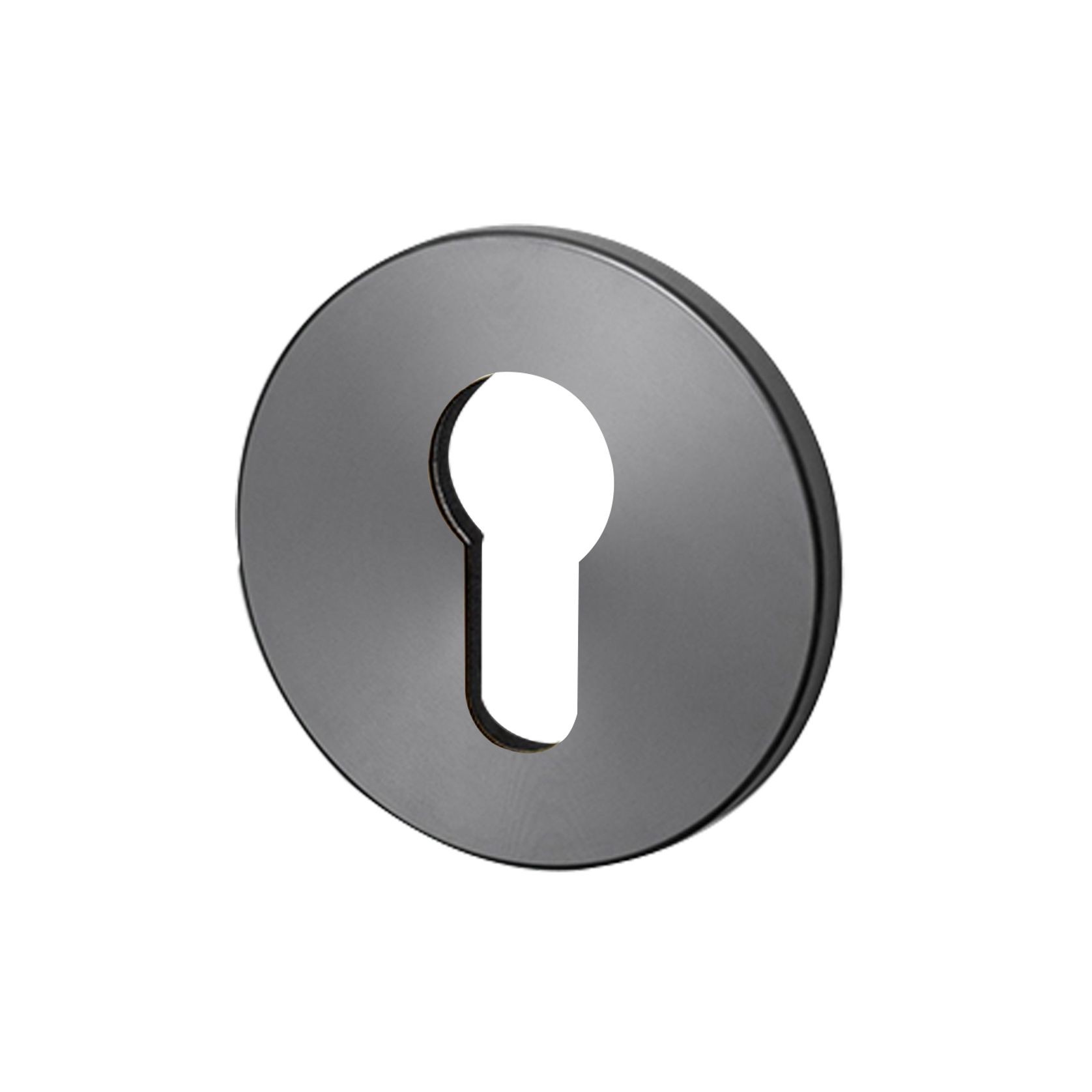 Buster and Punch Escutcheon Plate Euro Profile gallery detail image