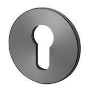 Buster and Punch Escutcheon Plate Euro Profile gallery detail image