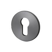 Buster and Punch Escutcheon Plate Euro Profile gallery detail image