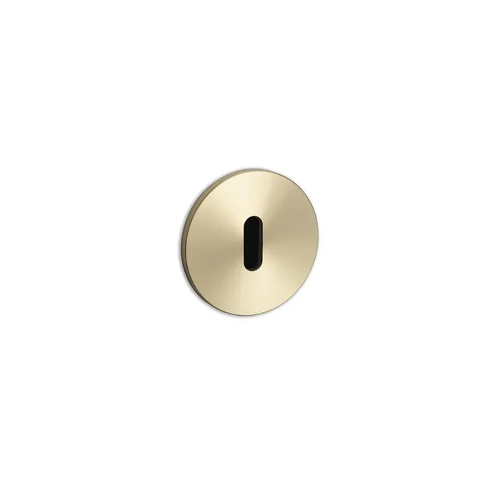 Buster+Punch Cylinder Escutcheon gallery detail image