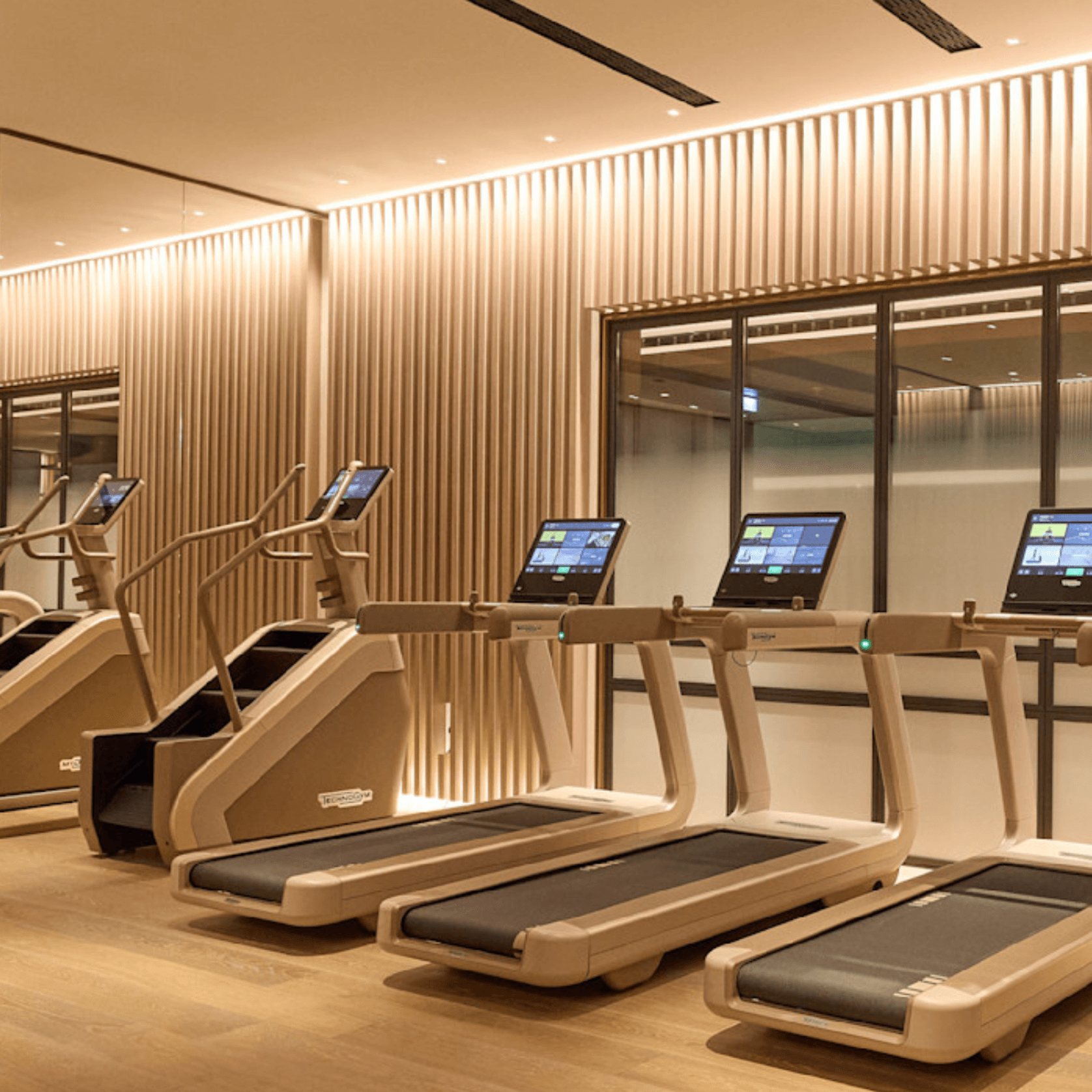 Artis Luxury Climb gallery detail image