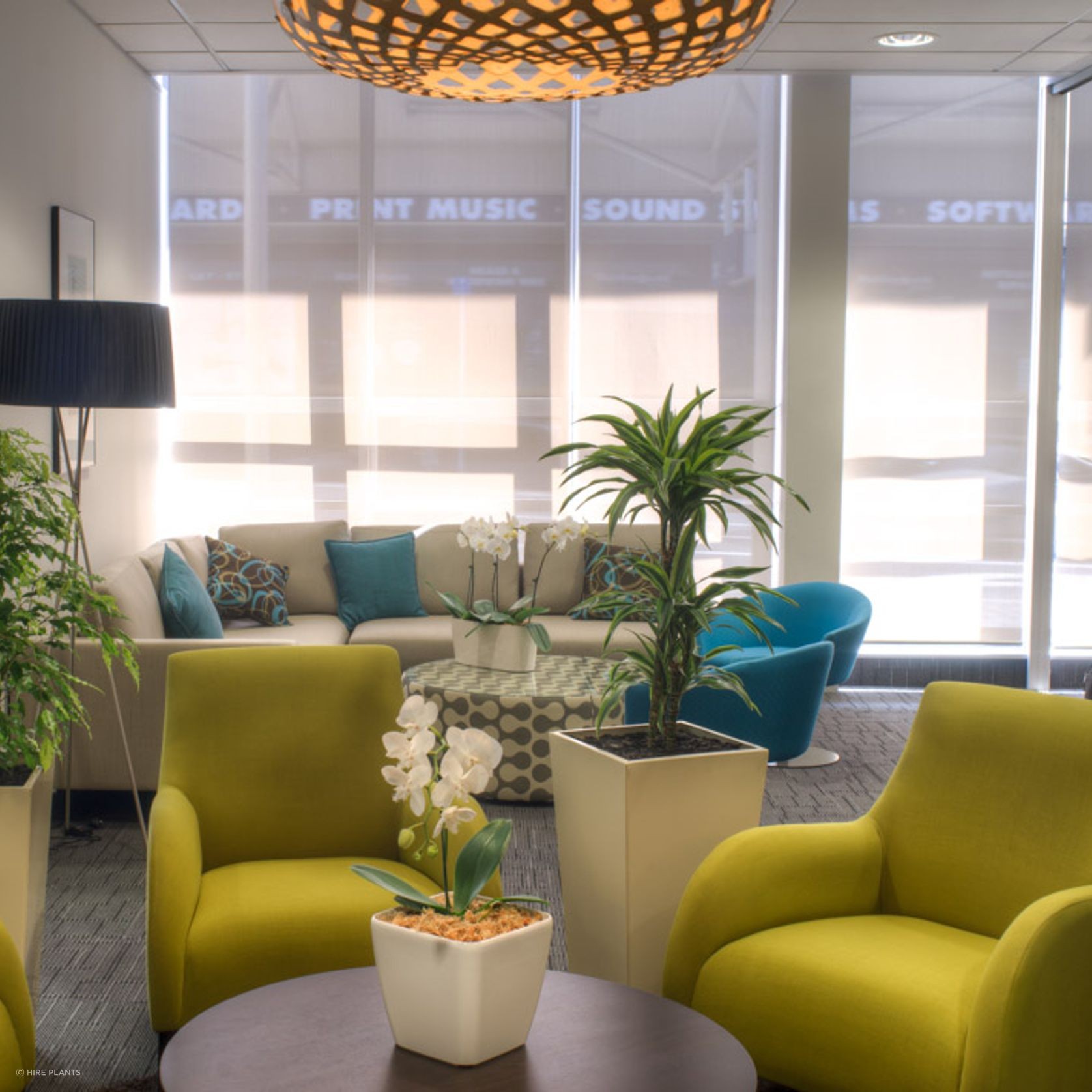 Indoor Plant Hire | Hire Plants gallery detail image
