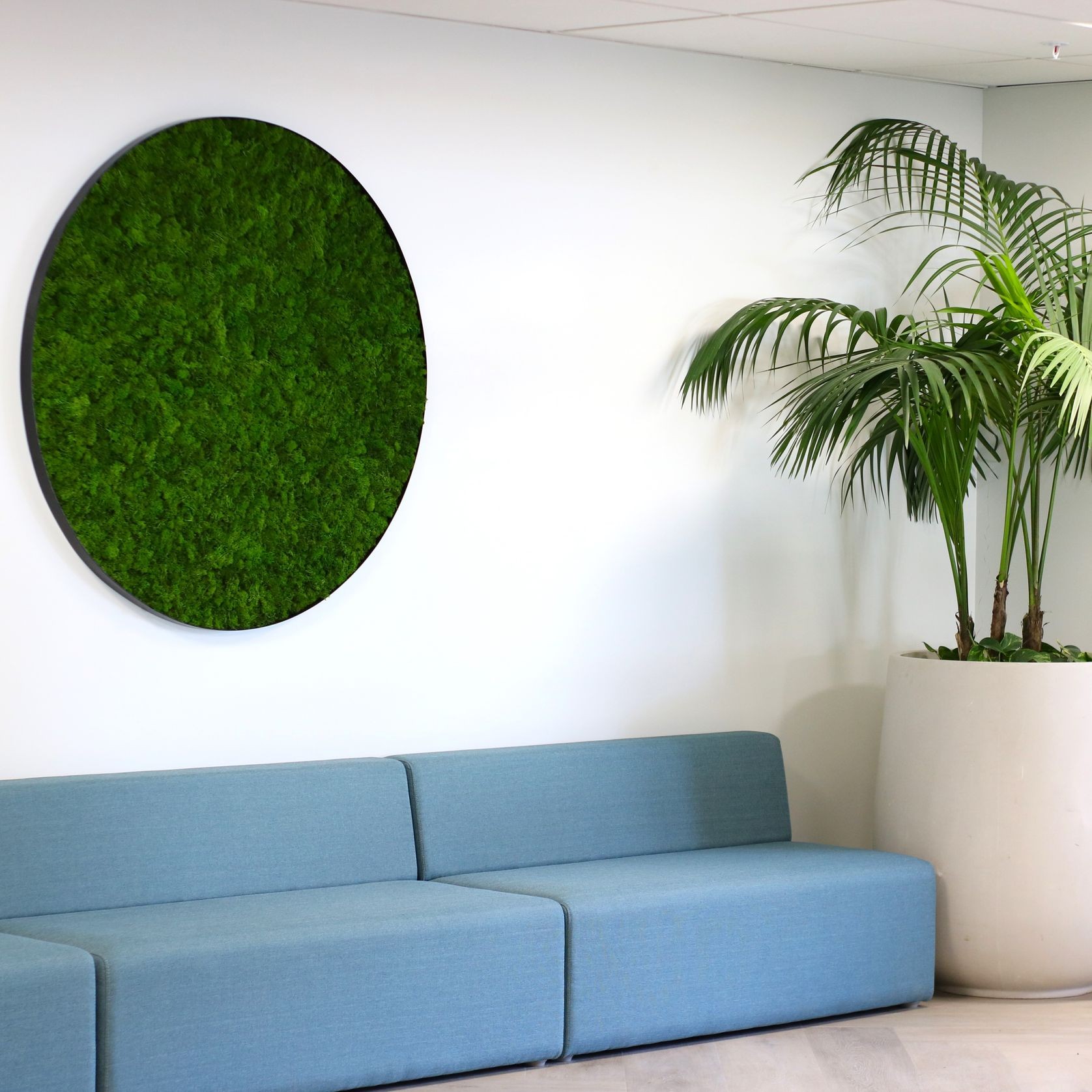 Reindeer Moss Panels | Hire Plants gallery detail image