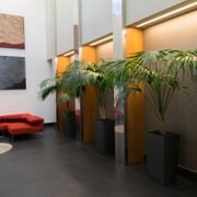 Indoor Plant Hire | Hire Plants gallery detail image
