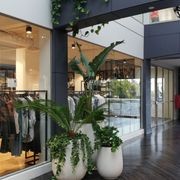 Indoor Plant Hire | Hire Plants gallery detail image