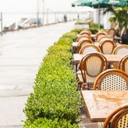 Outdoor Plant Hire | Hire Plants gallery detail image