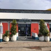 Outdoor Plant Hire | Hire Plants gallery detail image
