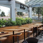 Outdoor Plant Hire | Hire Plants gallery detail image