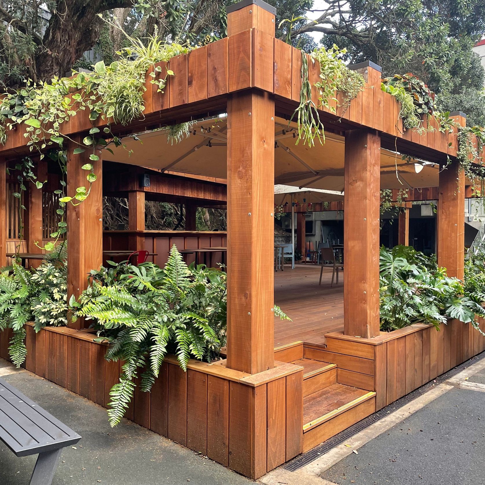 Outdoor Plant Hire | Hire Plants gallery detail image