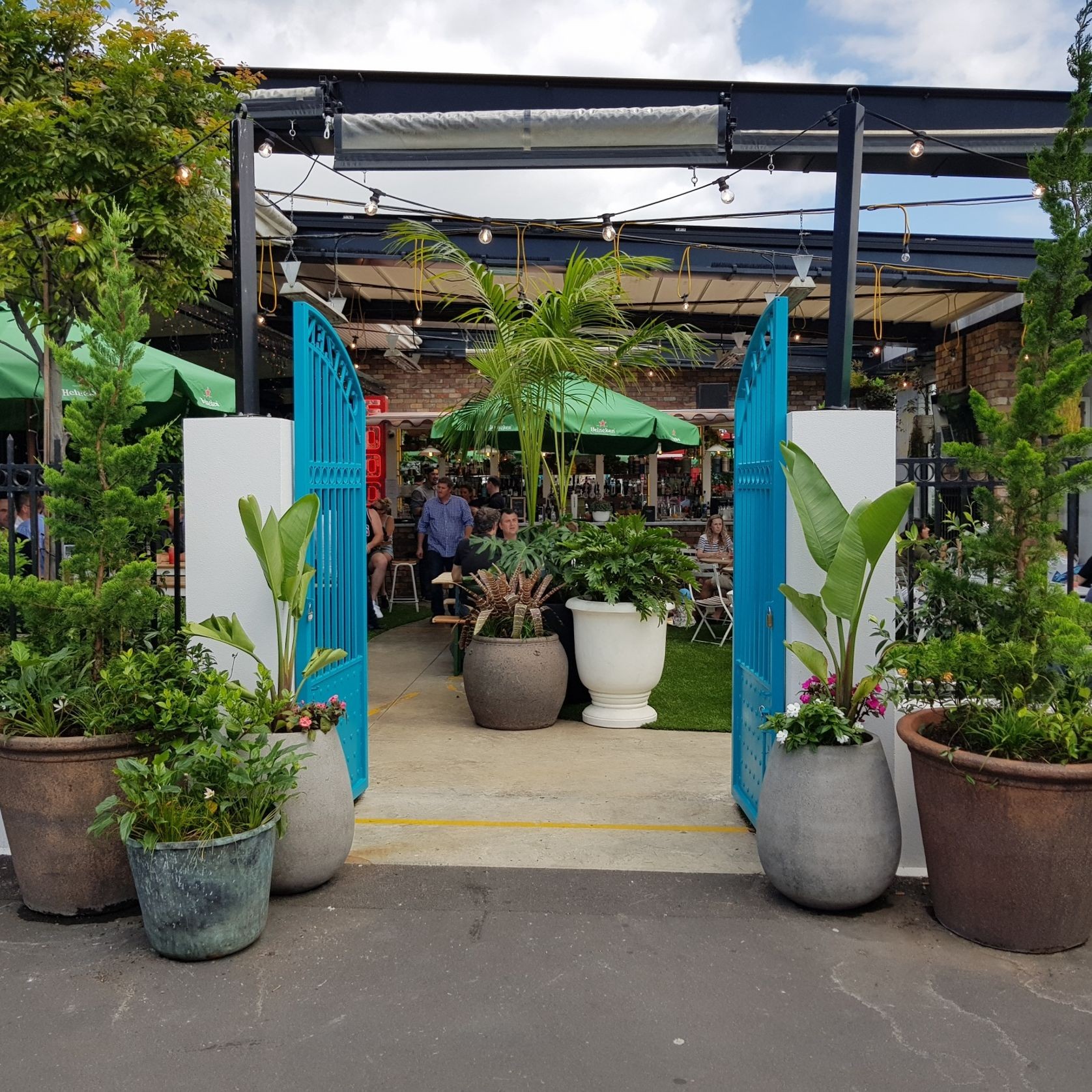 Outdoor Plant Hire | Hire Plants gallery detail image