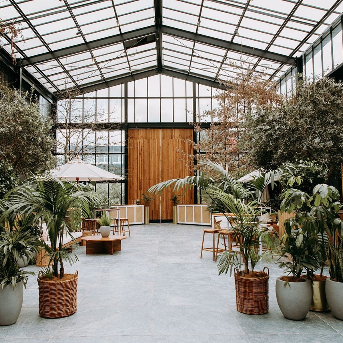 Plant Hire For Events | Hire Plants | ArchiPro NZ