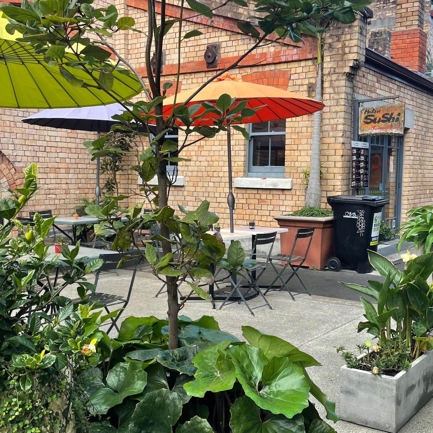 Outdoor Plant Hire | Hire Plants gallery detail image