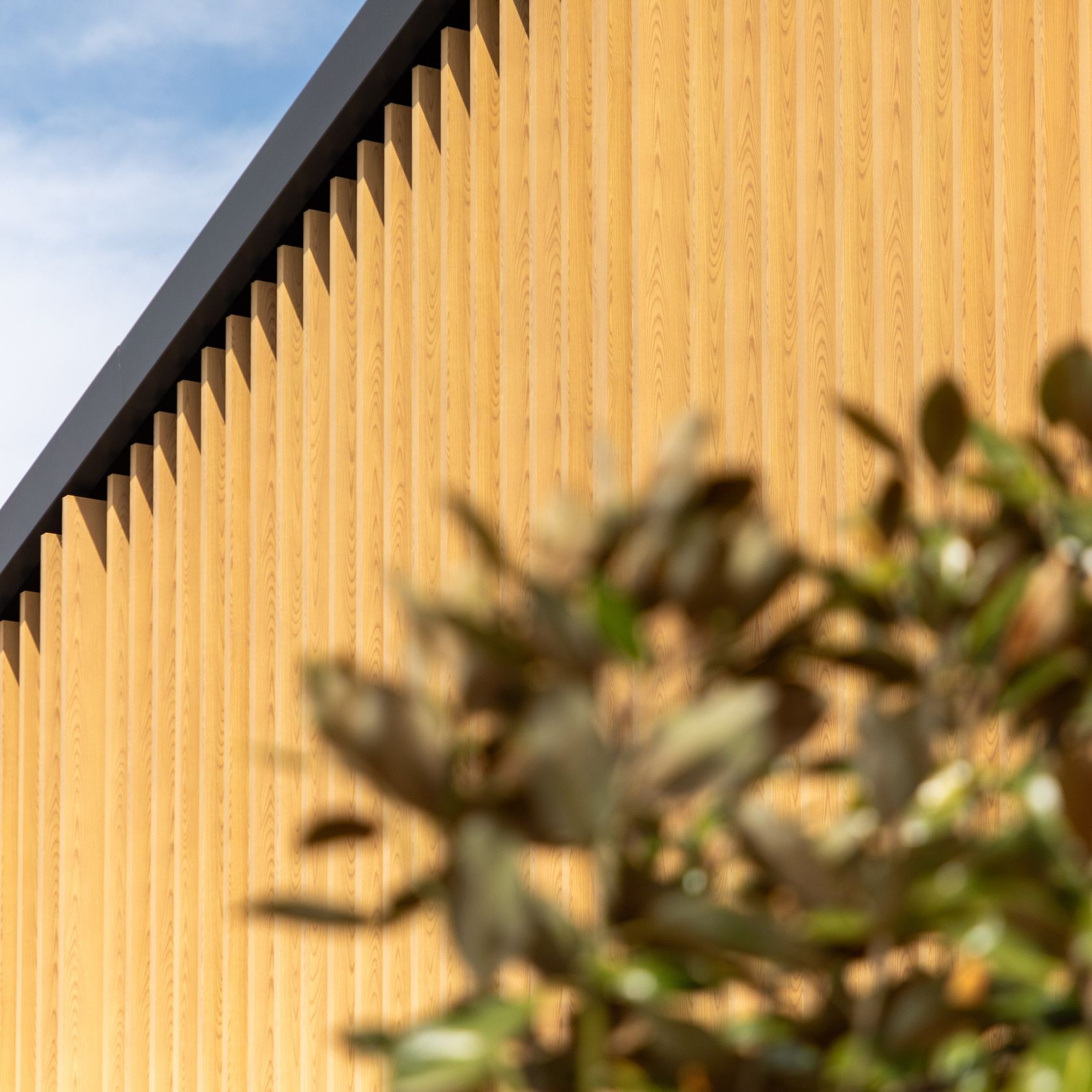 White & Light-Coloured Woodgrain Finishes gallery detail image