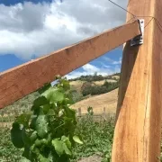 Vineyard Hardwood gallery detail image