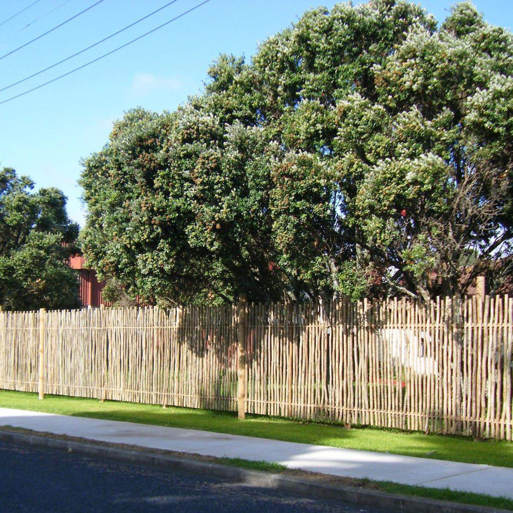 Eucalypt Fencing Panels & Poles gallery detail image