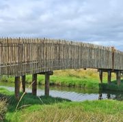 Eucalypt Fencing Panels & Poles gallery detail image