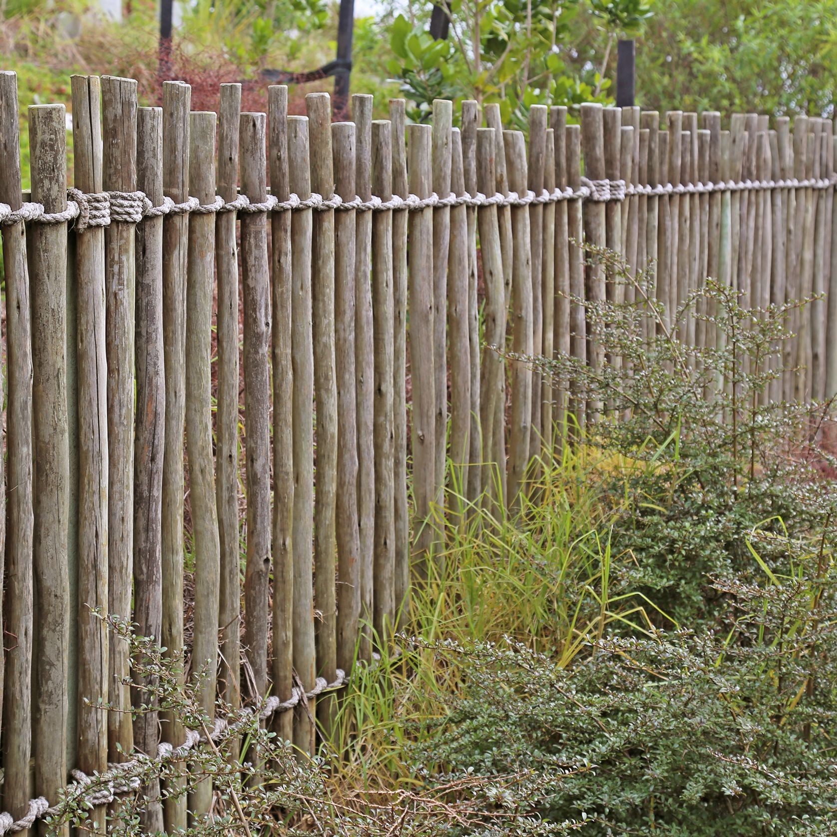 Eucalypt Fencing Panels & Poles gallery detail image