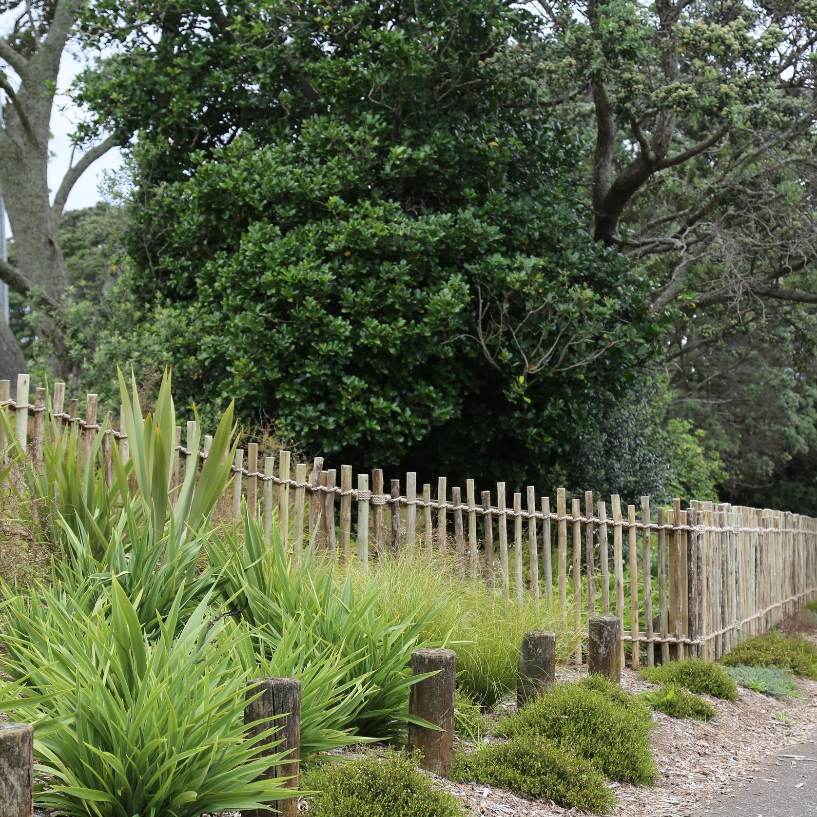 Eucalypt Fencing Panels & Poles gallery detail image