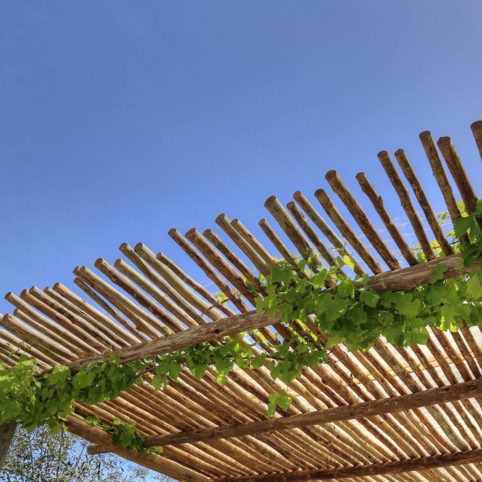 Eucalypt Fencing Panels & Poles gallery detail image