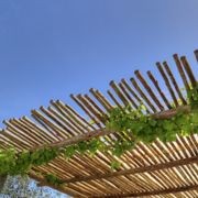 Eucalypt Fencing Panels & Poles gallery detail image