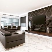 Alluring Fireplaces gallery detail image